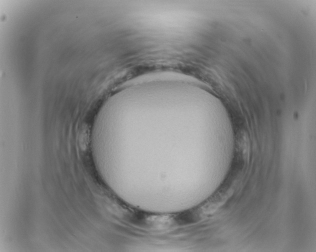 X0000088030133200706011359