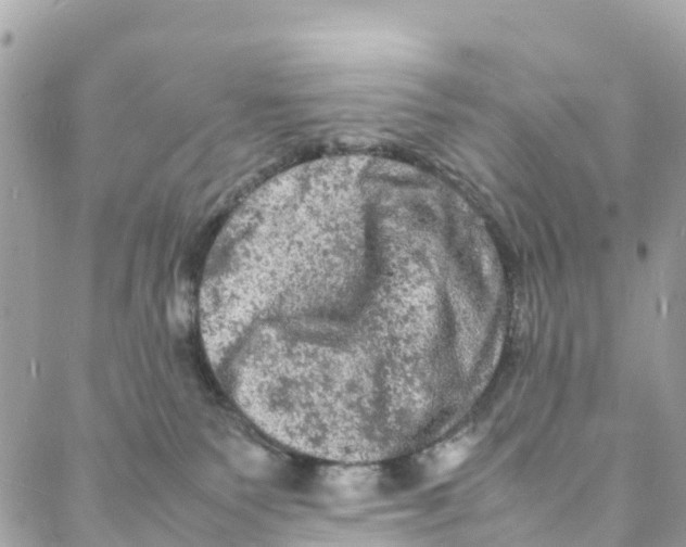 X0000088030135200706011359