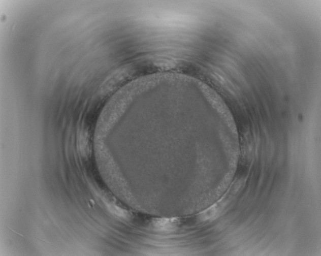 X0000088030136200706011359