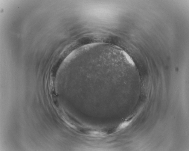 X0000088030137200706011359