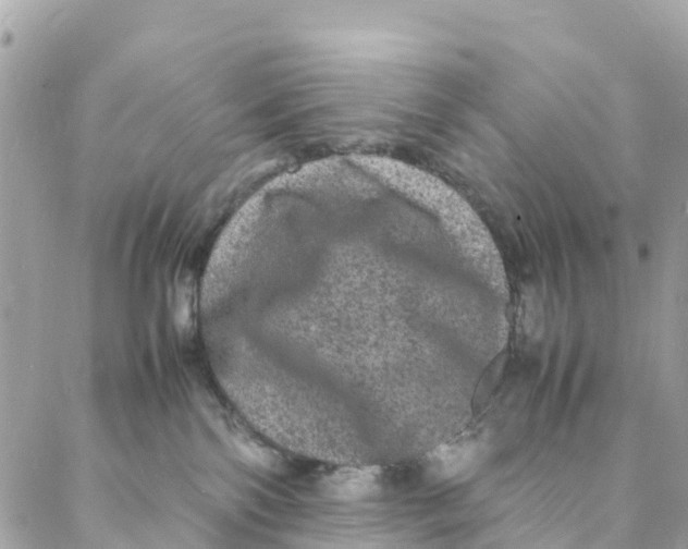 X0000088030138200706011359