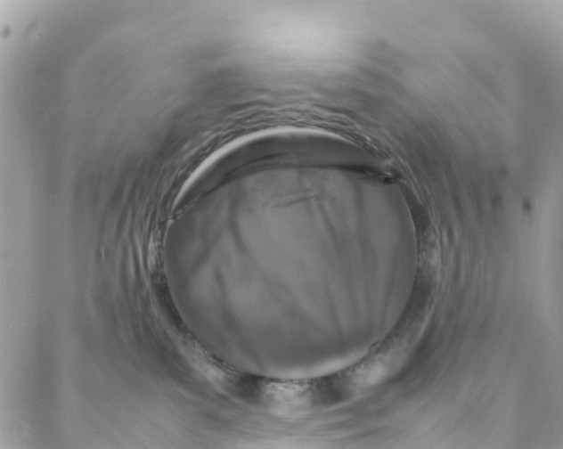 X0000088030139200706011359