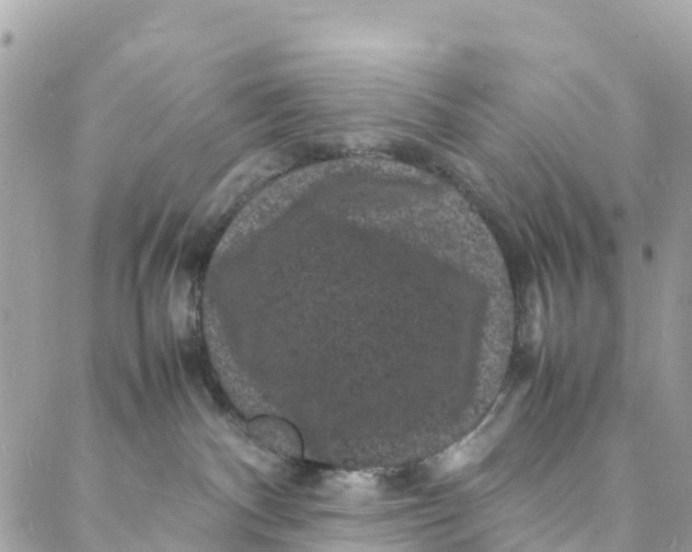 X0000088030140200706011359