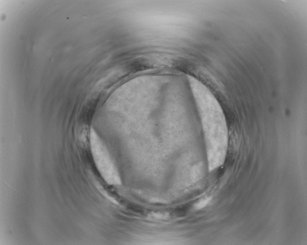 X0000088030141200706011359