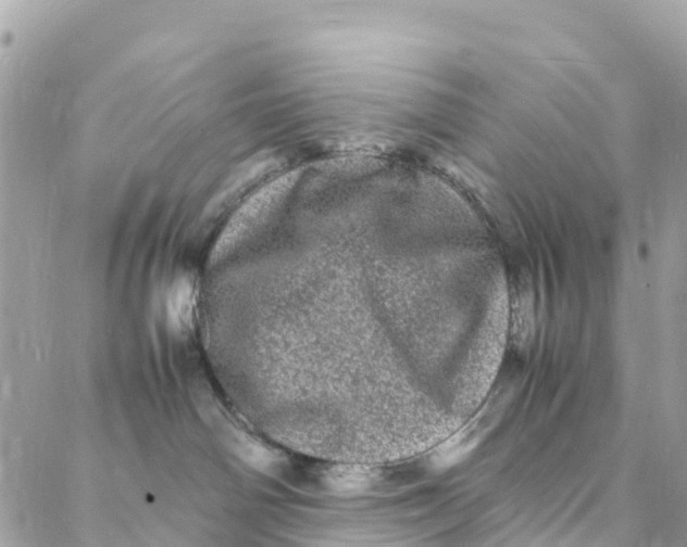 X0000088030142200706011359