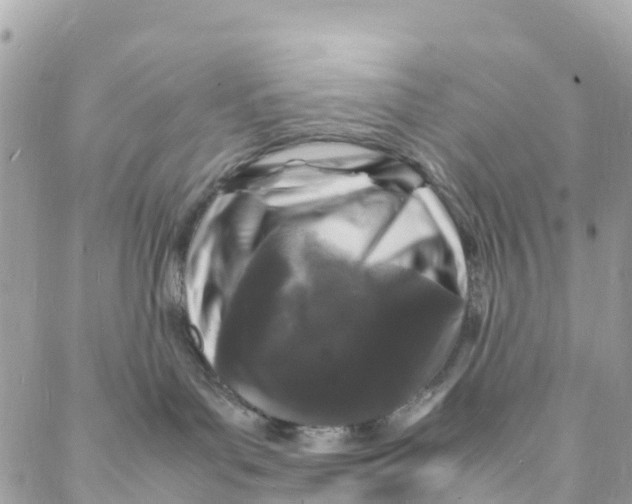 X0000088030143200706011359