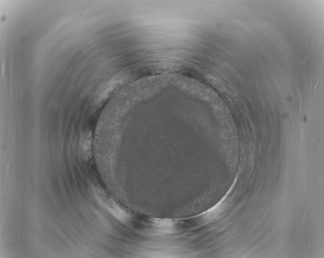 X0000088030144200706011359