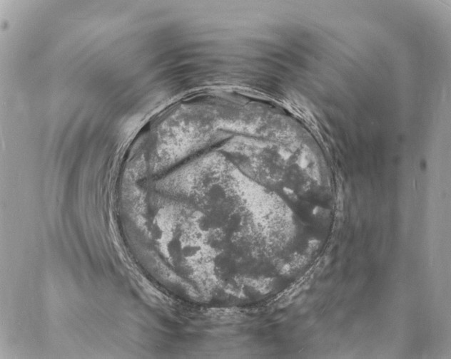 X0000088030145200706011358