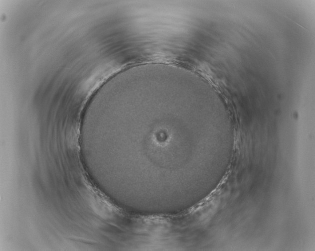 X0000088030146200706011358