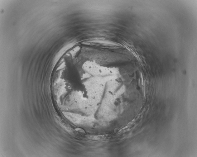 X0000088030147200706011358