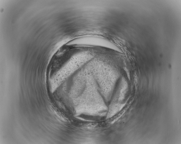 X0000088030148200706011358