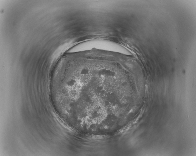 X0000088030149200706011358