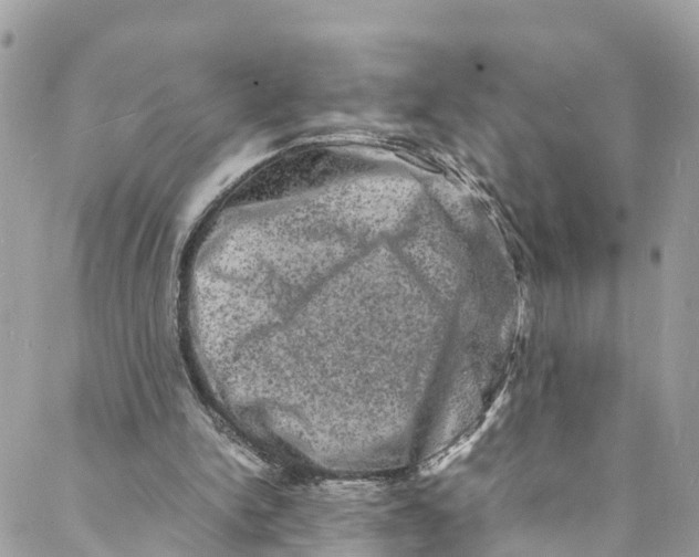 X0000088030150200706011358