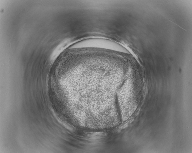 X0000088030151200706011358