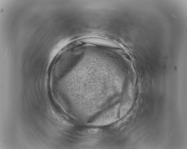 X0000088030152200706011358