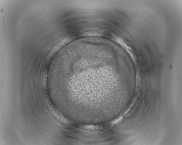 X0000088030153200706011358