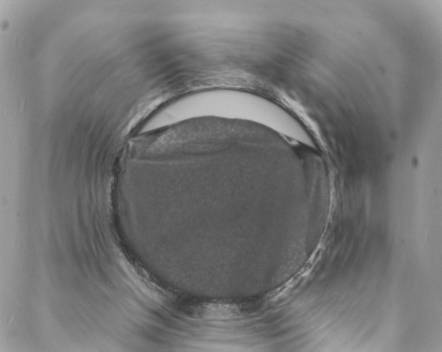 X0000088030154200706011358