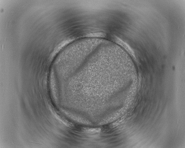 X0000088030155200706011358