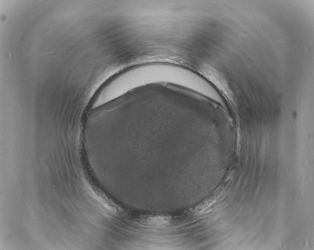 X0000088030156200706011358