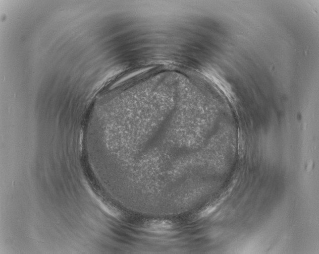 X0000088030157200706011358