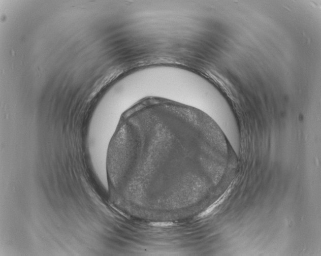 X0000088030158200706011358