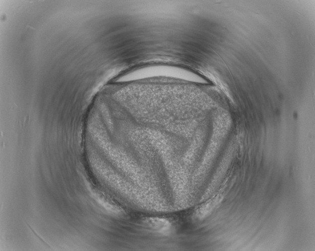 X0000088030159200706011358