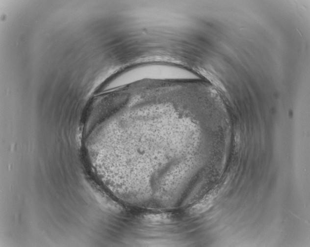 X0000088030160200706011358