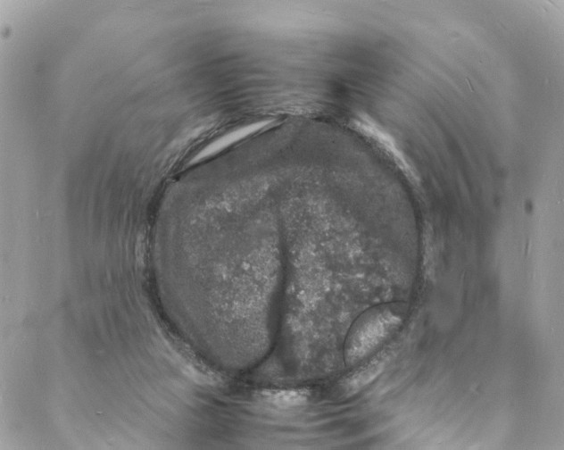 X0000088030161200706011358