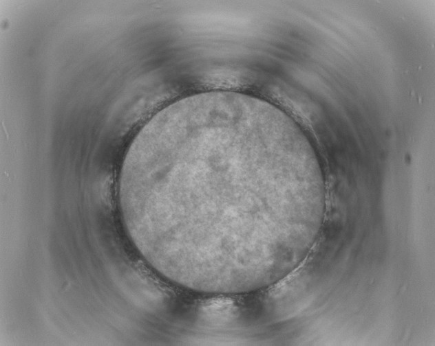 X0000088030162200706011358