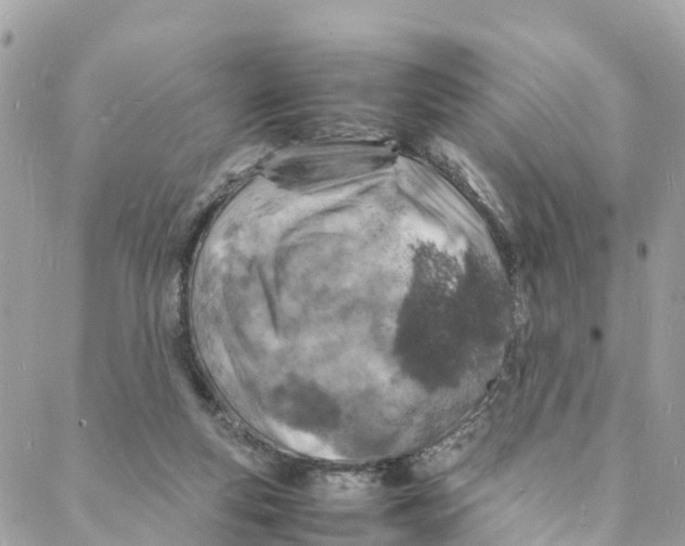 X0000088030163200706011358