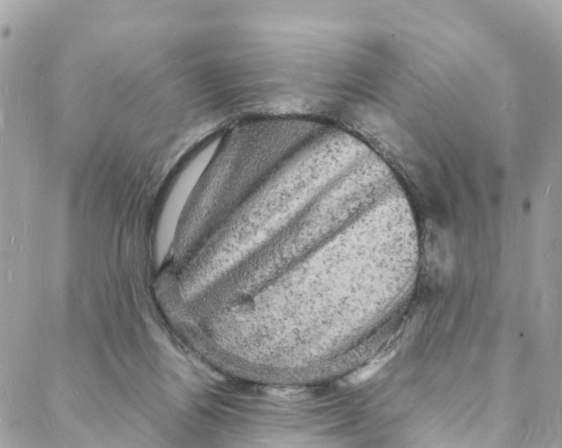 X0000088030164200706011358