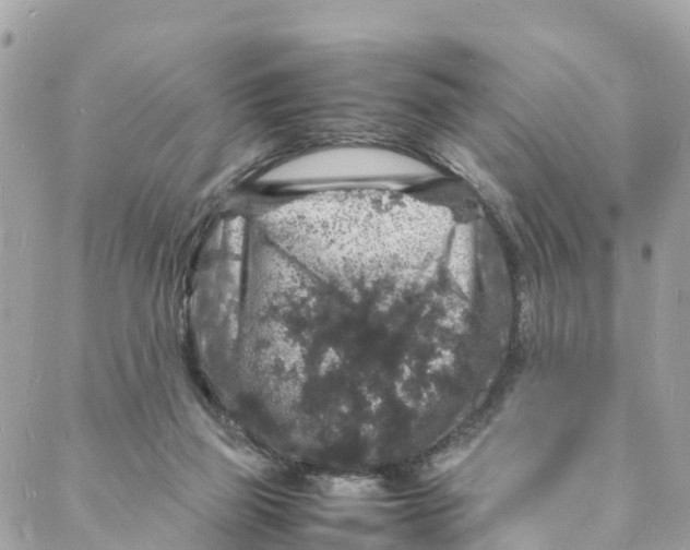 X0000088030165200706011358