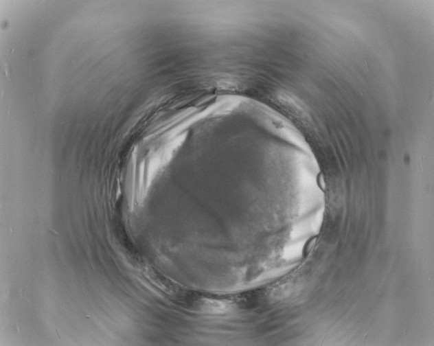 X0000088030167200706011358