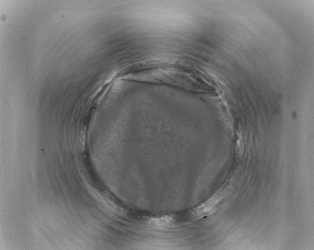 X0000088030168200706011358