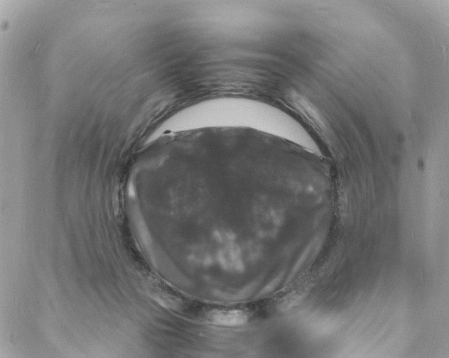 X0000088030169200706011358