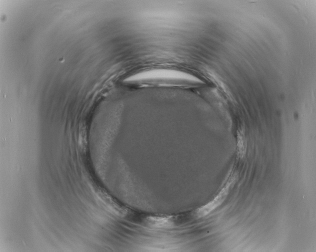 X0000088030170200706011358