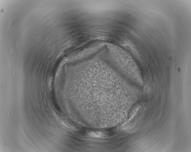 X0000088030171200706011358