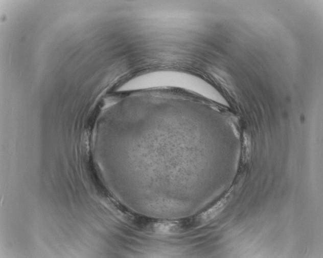 X0000088030172200706011358