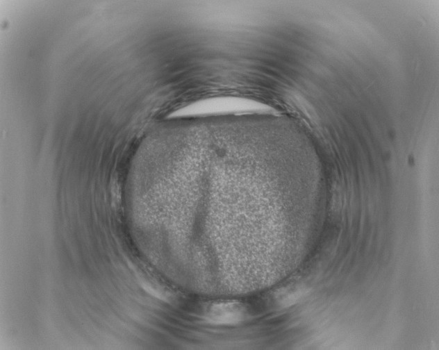 X0000088030173200706011358