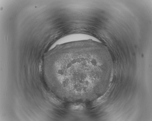 X0000088030175200706011358