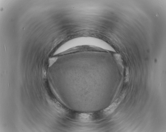 X0000088030176200706011358