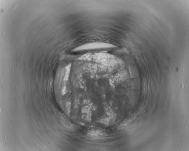 X0000088030177200706011358