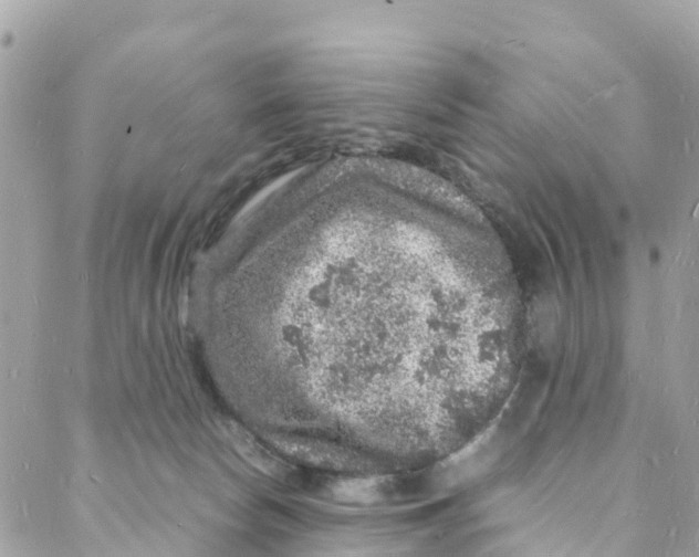 X0000088030178200706011358