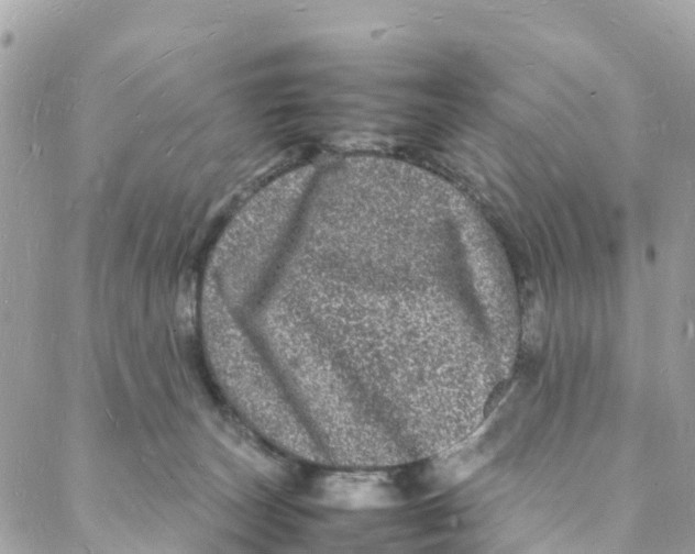 X0000088030179200706011358