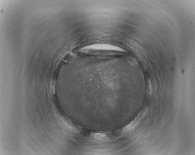 X0000088030180200706011359