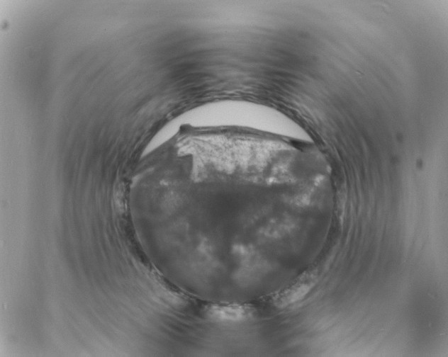 X0000088030181200706011359