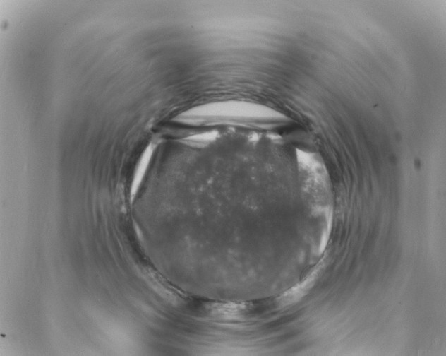 X0000088030182200706011359