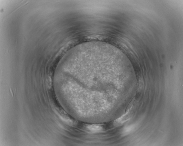 X0000088030183200706011359