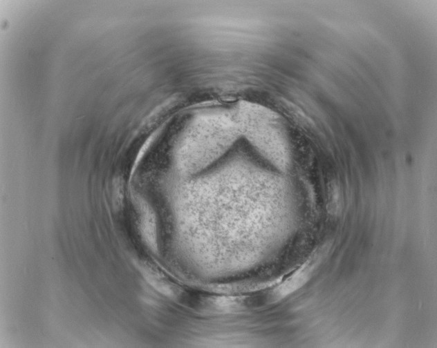 X0000088030184200706011359