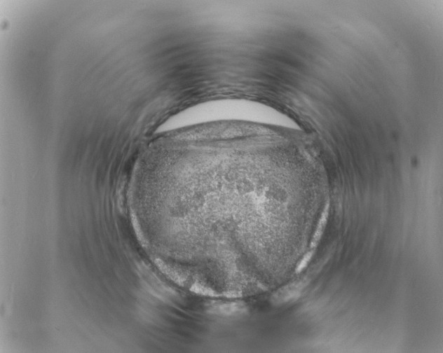 X0000088030185200706011359